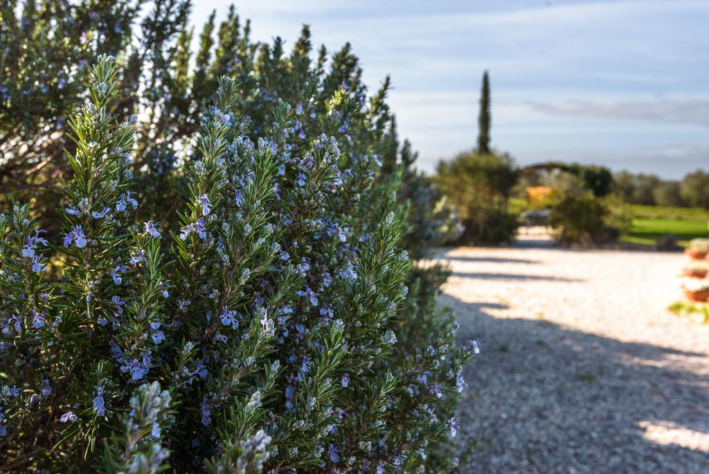 Agriturismo Il Macchione Pienza Buitenkant foto